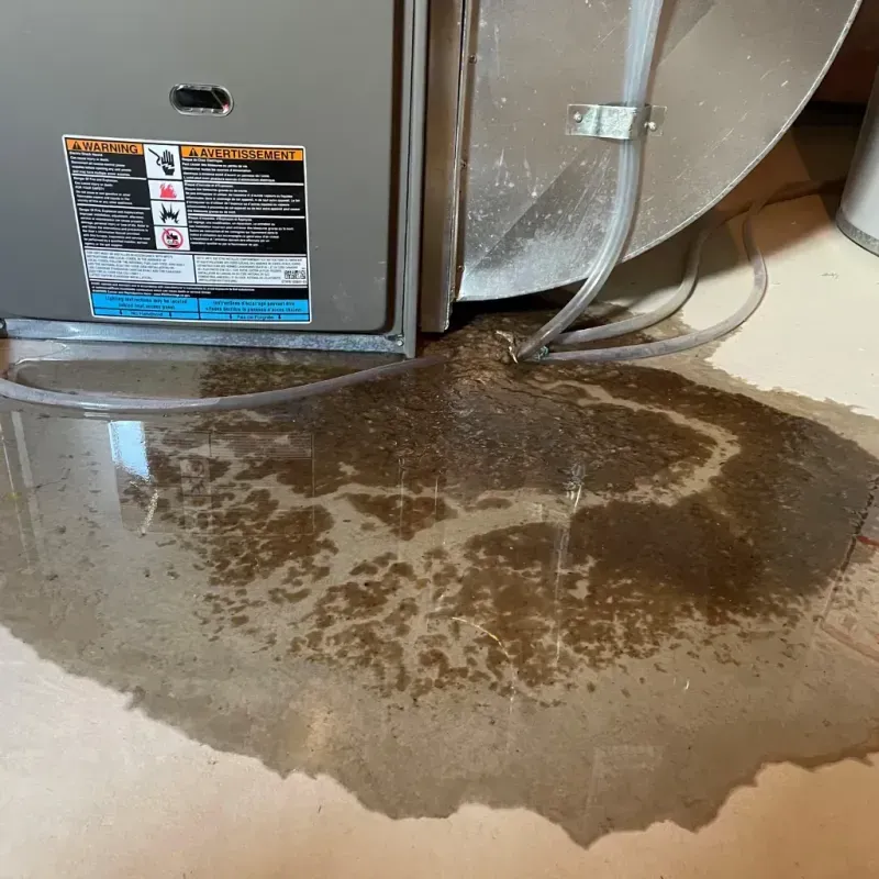 Appliance Leak Cleanup in Hillview, KY